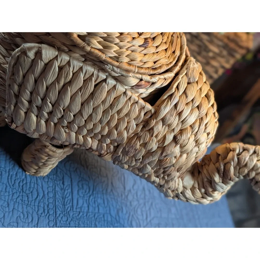 Opalhouse **charming woven
